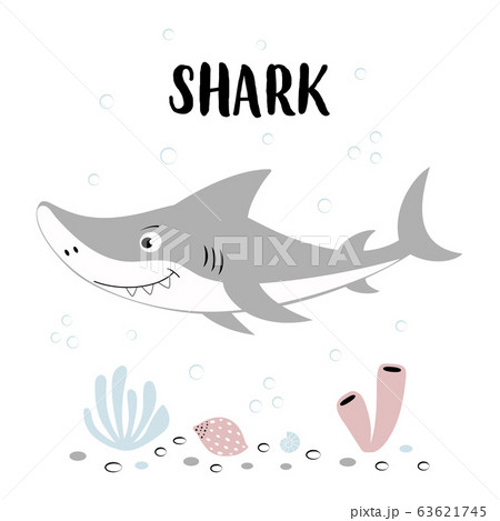 cute shark with lettering isolated on white, 63621745