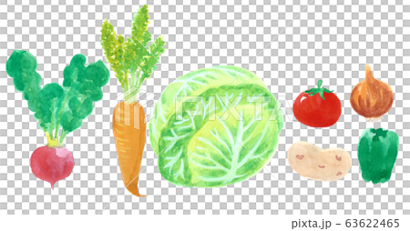 野菜　セット　オーガニック 63622465