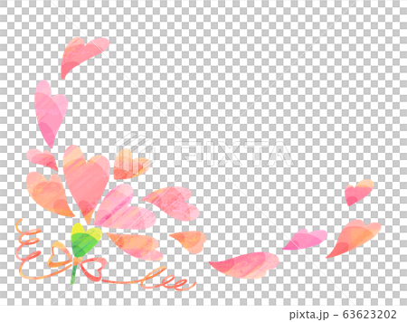 カーネーション11(テクスチャ) 63623202