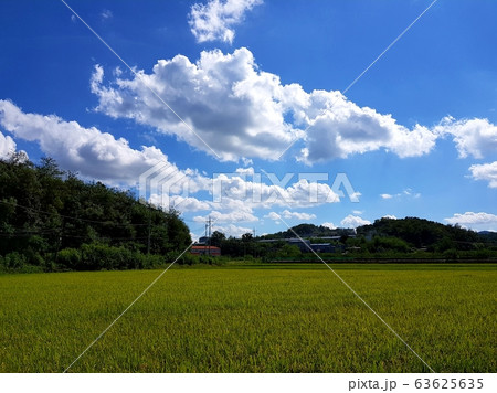 地方 野原 風景 63625635