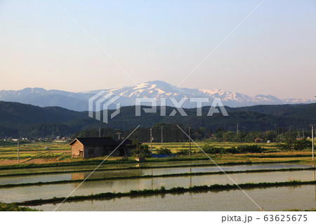 夜明けの風景　水田と月山 63625675