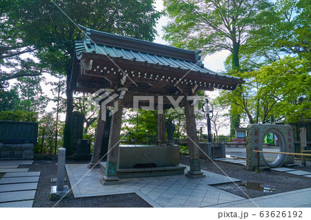東京八王子市 新緑の高尾山薬王院の手水舎 63626192