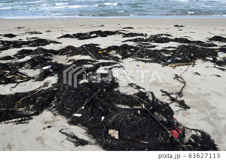 海辺に漂着した海藻やゴミ 63627113