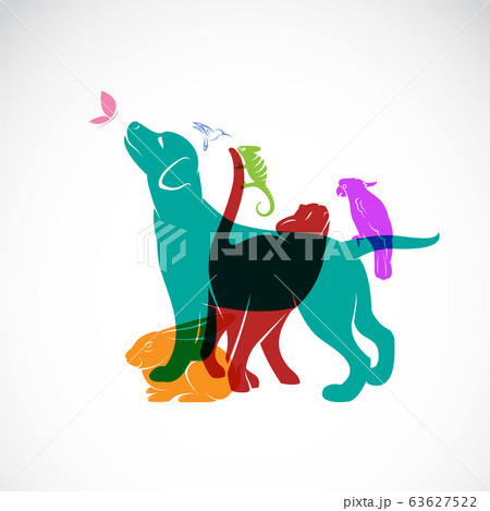 Vector group of pets - Dog, cat, parrot, Animal. Vector group of pets - Dog, cat, parrot, Animal. 63627522