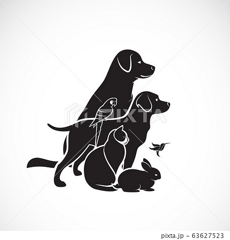 Vector group of pets - Dog, Cat, Humming bird, 63627523