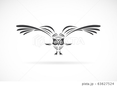 Vector of an owl design on a white background,. Vector of an owl design on a white background,. 63627524