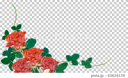 薔薇水彩画 63628139