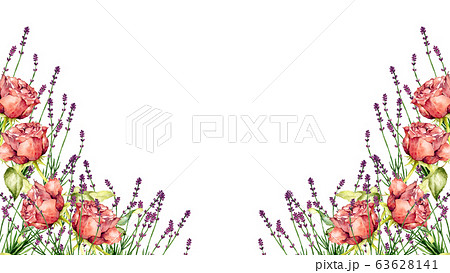 薔薇とラベンダー 63628141