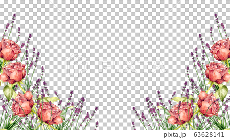 薔薇とラベンダー 63628141