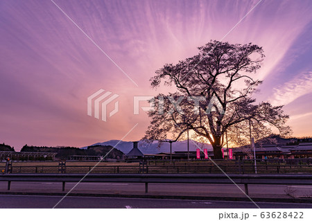 福島県　二本松市　道の駅安達の桜　万燈桜の夕景　遠くに安達太良山が見える 63628422