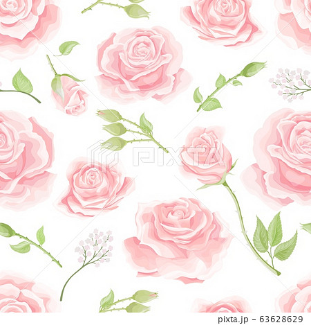 Seamless pattern with cream pink roses. Vintage floral background 63628629