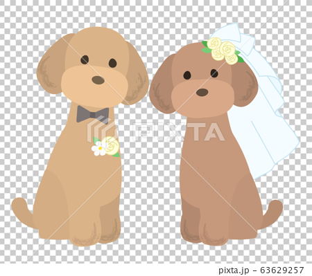 トイプードル 犬 結婚式 セット イラストのイラスト素材
