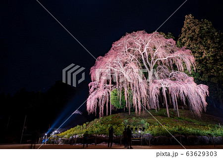 福島県 合戦場の桜 ライトアップ 夜桜 福島県 合戦場の桜 ライトアップ 夜桜 63629303