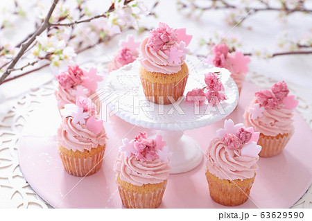 桜カップケーキ お花見スイーツ の写真素材