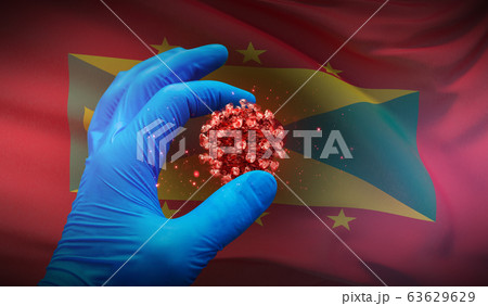 A hand in a medical glove holds a molecule, medical science concept, on background flag of Grenada. 3D illustration. 63629629
