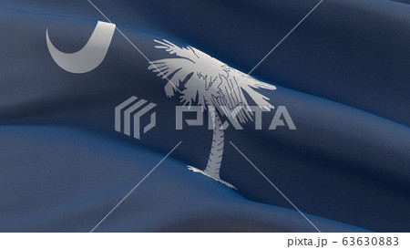 Flags of the states of USA. State of South Carolina flag. 3D illustration. Flags of the states of USA. State of South Carolina flag. 3D illustration. 63630883