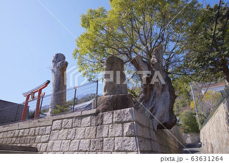 神戸の五宮神社 神戸の五宮神社 63631264