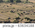 ブータンの自然 63634188