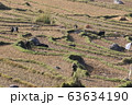 ブータンの農業 63634190