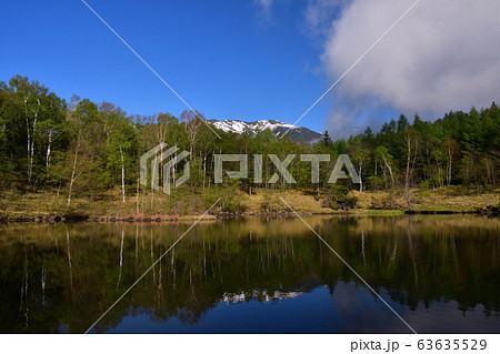 八ヶ岳の眺望 63635529