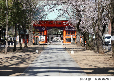 市川市 葛飾八幡宮 市川市 葛飾八幡宮 63636261