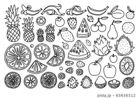 vector cute drawn fruits set vector cute drawn fruits set 63636312