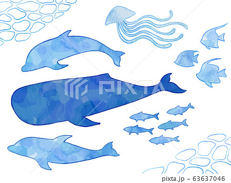 海の生き物のイラストセット 手描き 水彩風 のイラスト素材