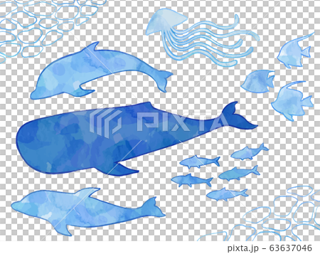 海の生き物のイラストセット（手描き・水彩風） 63637046