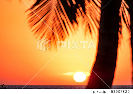Boracay, Philippines - Jan 21, 2020: Sunset on the background of bottles standing on the bar. The sun passes through the bright glass of the bottles. Background image for the screensaver. 63637329
