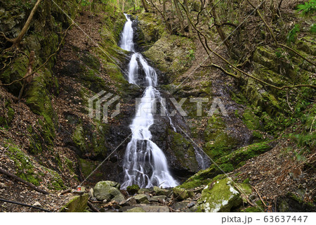 三重の滝（和歌山県伊都郡かつらぎ町） 63637447