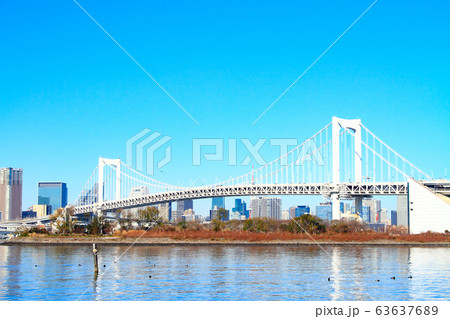 東京都 レインボーブリッジとその周辺の風景 東京都 レインボーブリッジとその周辺の風景 63637689