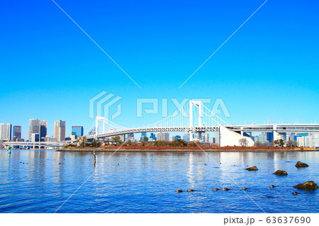 東京都 レインボーブリッジとその周辺の風景 東京都 レインボーブリッジとその周辺の風景 63637690