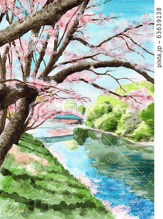 水彩で描いた川べりの桜のイラスト素材