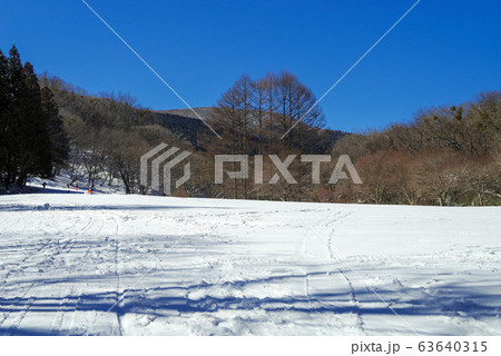 冬の「ひろしま県民の森」(2020年2月) 冬の「ひろしま県民の森」(2020年2月) 63640315