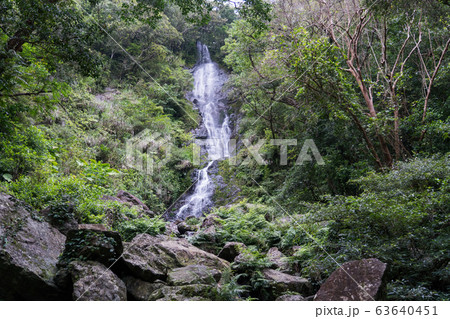 奄美大島 フナンギョの滝 奄美大島 フナンギョの滝 63640451