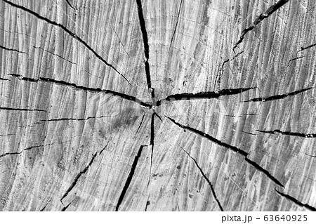 Circular wooden log pattern with cracks Circular wooden log pattern with cracks 63640925