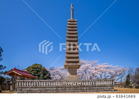 慈恩寺の玄奘塔 63641669