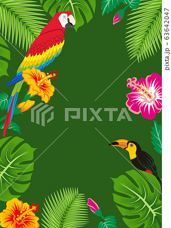 熱帯の鳥と植物のフレームのイラスト素材