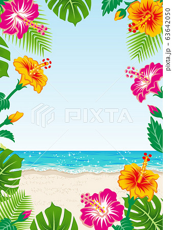 熱帯の花と植物のフレーム ビーチ背景 比率のイラスト素材