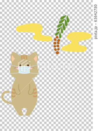 Cat with cedar pollen and mask 63642780