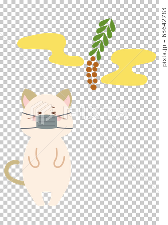 Cat with cedar pollen and mask 63642783