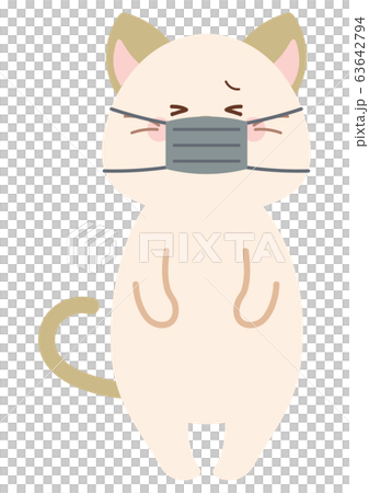 Cat wearing a mask Cat wearing a mask 63642794