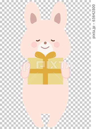 禮物和兔子 63642800