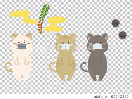 Cat set to mask against pollen, virus and cold 63642831