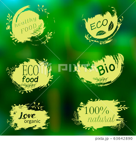 Set of logos, icons, design elements. Natural food, organic food, veggie food 63642890