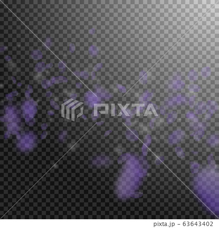 Violet flower petals falling down. Cool romantic f 63643402