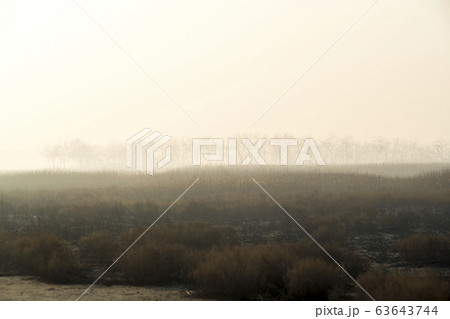 自然 風景 韓国 63643744
