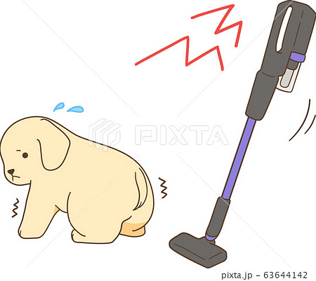 ゴールデンレトリバーの子犬(掃除機を怖がる) ゴールデンレトリバーの子犬(掃除機を怖がる) 63644142