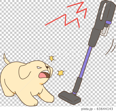 ゴールデンレトリバーの子犬 掃除機に吠える のイラスト素材