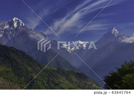 Mount Machhapuchhre or Fishtail in the Himalayas in Nepal. We can see the peak of Machhapuchhre along the way  between the walking path to the Annapurna Base Camp. 63645764